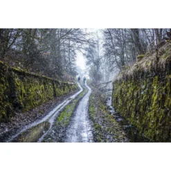 Rogelli Dream Jacket -Deals Trail Cycler Store rogelli dream jacket 16